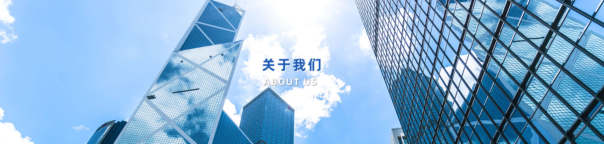 公司簡介