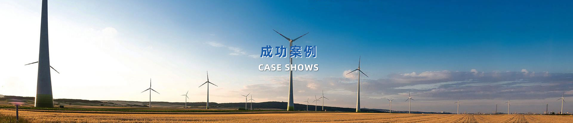 案例展示